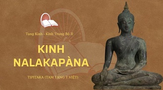 Kinh Trung Bộ 68 – Kinh Nalakapàna - ĐĐ. Minh Chuyển giảng