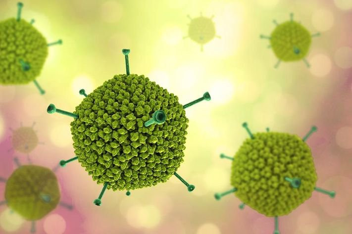 Những điều cần biết về bệnh do virus Adeno và cách phòng tránh