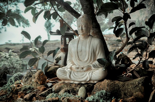 Mười đặc điểm của Phật Giáo